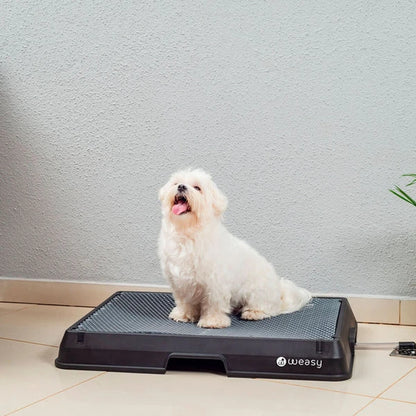 Weasy Cão | Banheiro inteligente para cachorro